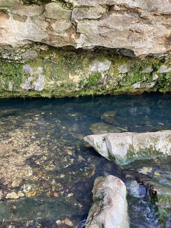 Sarcoxie Cave & Spring Natural Grounds - Image 3