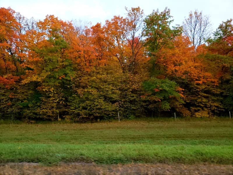 Bemidji - Image 2
