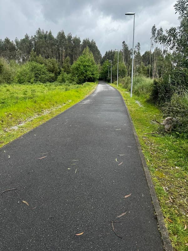 Passadiço Ecocaminho - Image 1