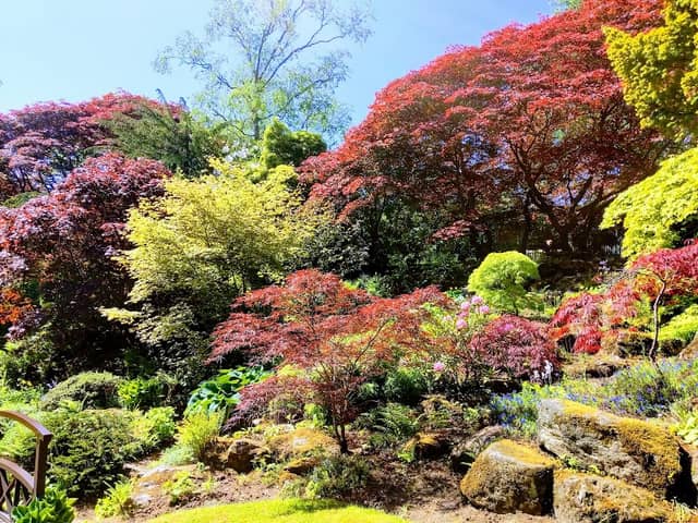 Johnston Gardens - Image 1
