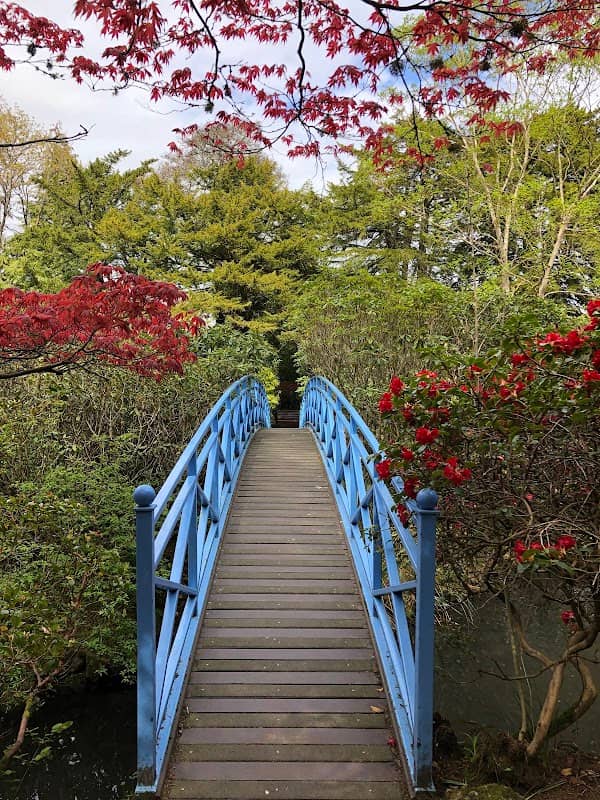 Johnston Gardens - Image 2