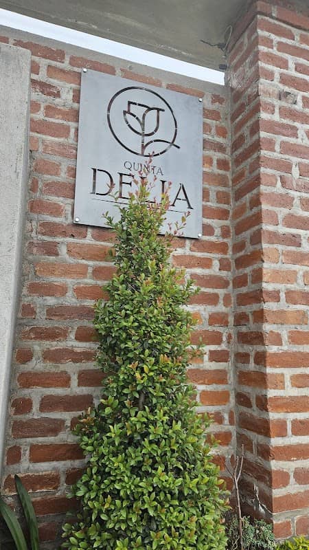 QUINTA DELIA - Image 1
