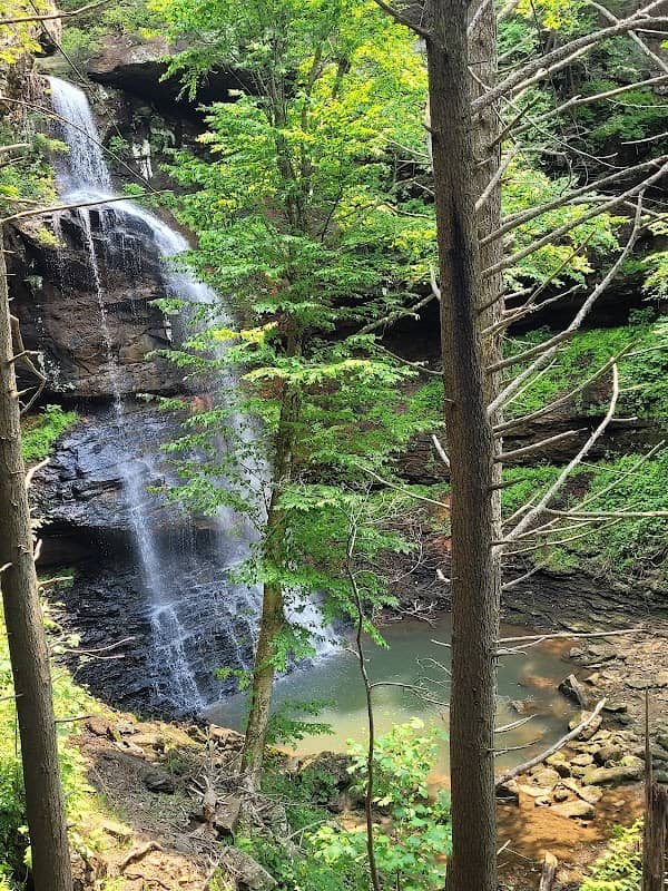Bridal Falls observation - Image 2