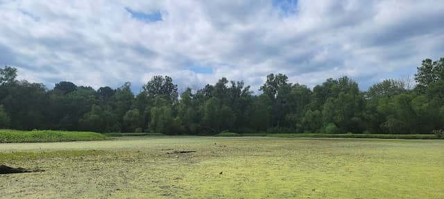 Sugar Creek Lake - Image 1