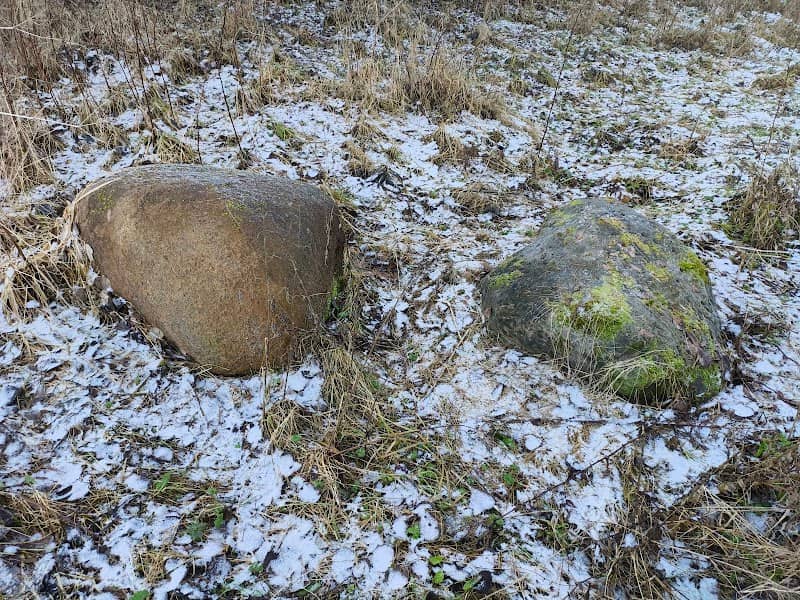 Dvilonių akmuo - Image 1