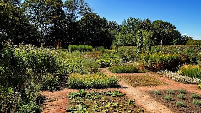 Spøttrup Borg - Herb Garden - Image 2
