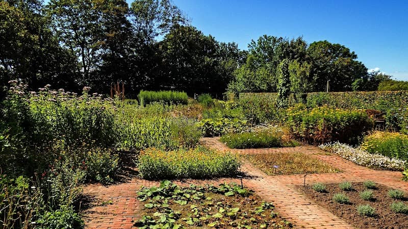 Spøttrup Borg - Herb Garden - Image 2