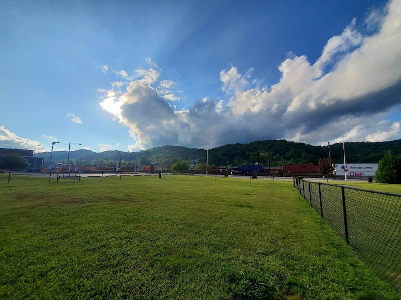 The TailYard - Image 1