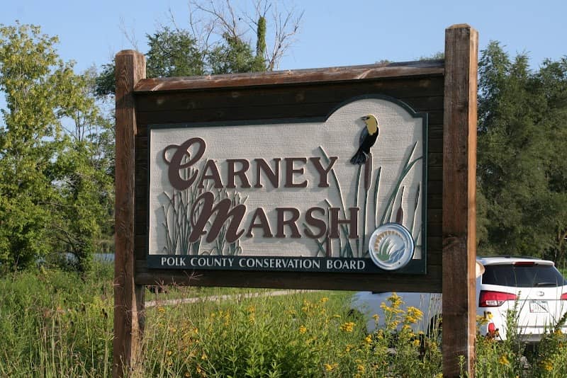 Carney Marsh Nature Preserve - Image 1