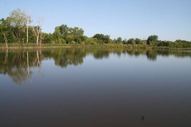 Carney Marsh Nature Preserve - Image 2