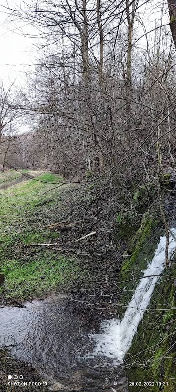 Wasserfall Rinnsalfall - Image 2