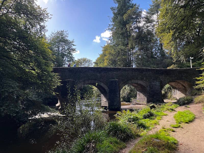 National Trust - Plymbridge Woods - Image 1