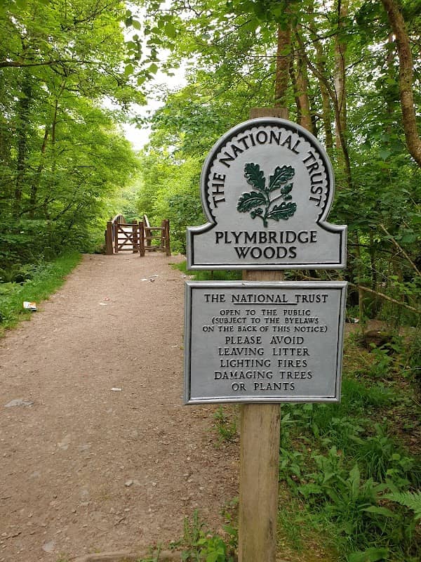 National Trust - Plymbridge Woods - Image 2