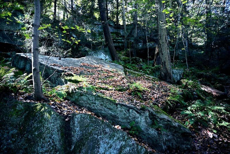 Nature Trail: Riverside Drive Trailhead - Image 1