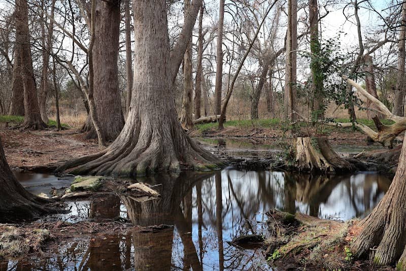 Cibolo Center for Conservation - Image 1