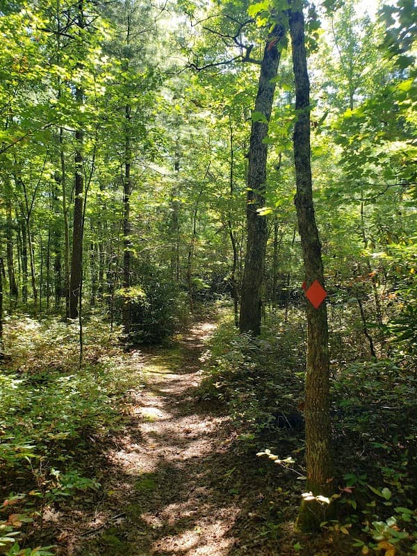 Dixon Woods Park- Highlands Cashiers Land Trust - Image 1