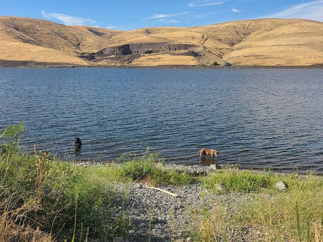 Little Goose Dam (Established Campground) - Image 2