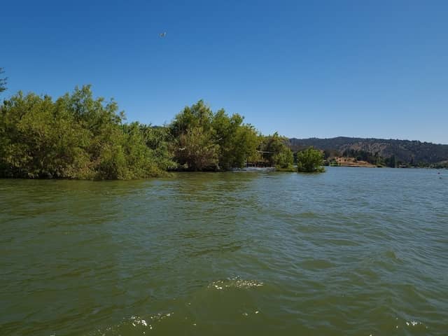 Isla del amor - Image 1