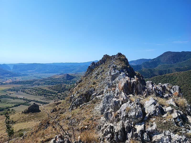 Creasta de Cocoș - Image 3