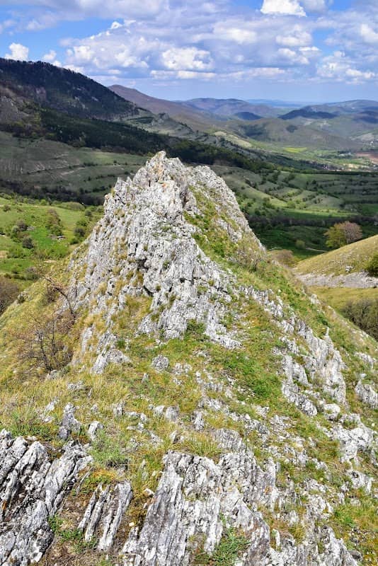 Creasta de Cocoș - Image 2