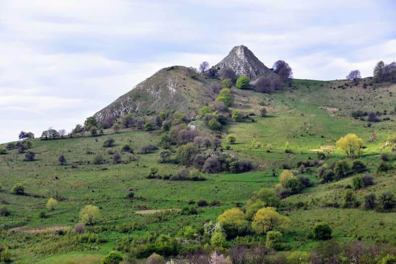 Creasta de Cocoș - Image 1