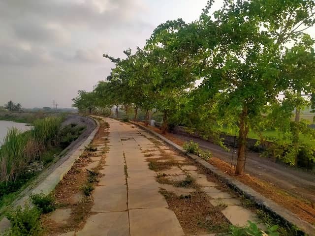 Retteri Lakewalk - Image 1