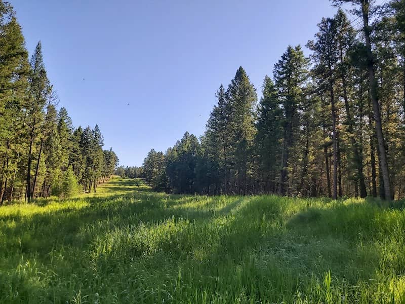 Cranbrook Community Forest - Image 1