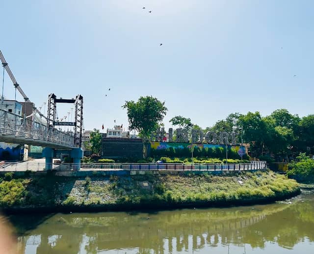 Anand Mohan Mathur Jhula Pull - Image 2