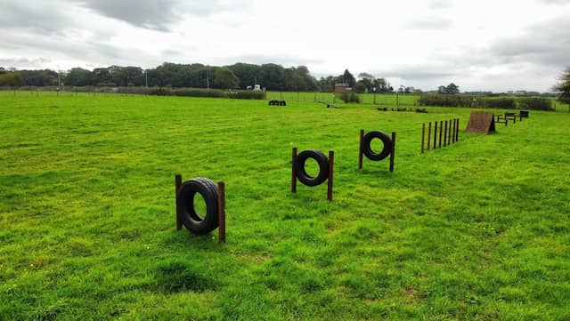 Unleashed Secure Dog Fields - Image 2