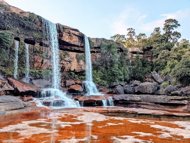 Phe Phe Fall - Image 2