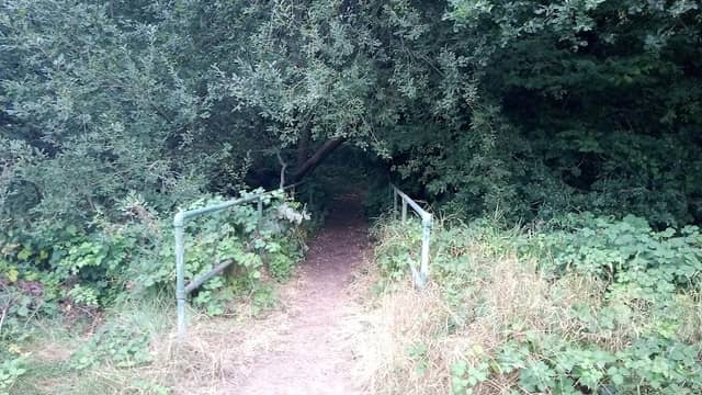 King's Wood - Image 1