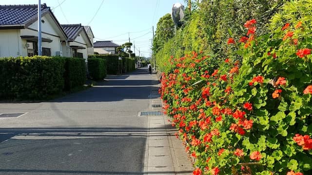 八幡の生垣集落 - Image 1