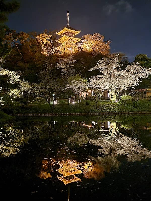 Honmoku Shimin Park - Image 1