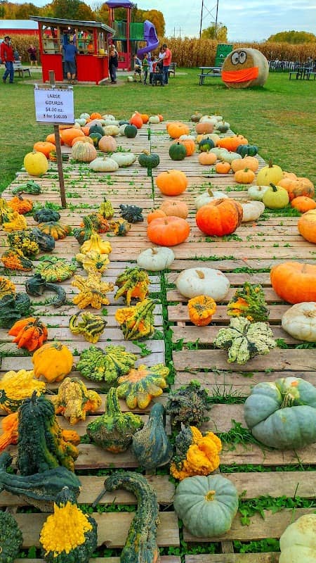 Allsop Farm Pumpkins & More - Image 2