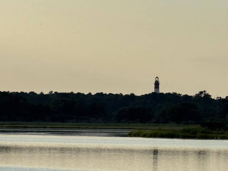 Chincoteague Marsh Boardwalk - Image 1