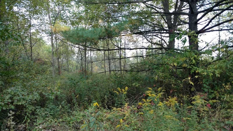 Gleneagle Park - Image 2