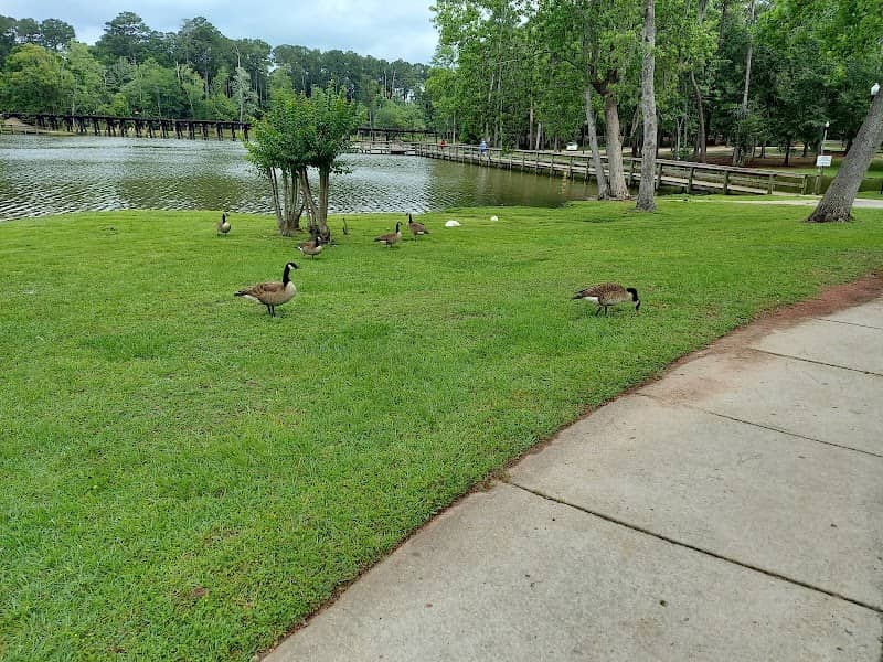 Cherokee Lake Park - Image 1