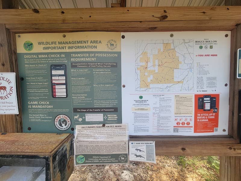 Boggy Hollow Wildlife Management Area - Image 1