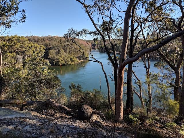 Yeramba Lagoon loop track - Image 1