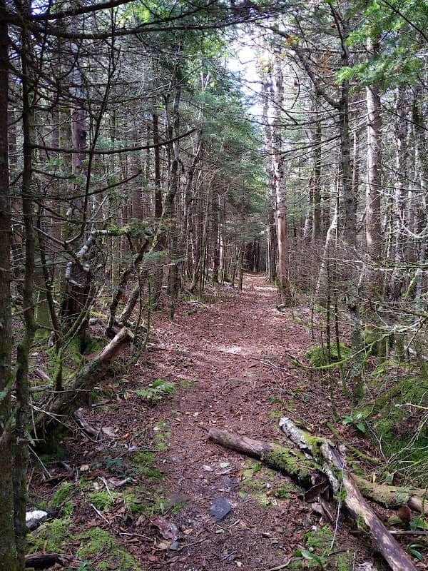 Southwest Hunter Mountain - Image 3