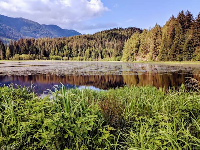 Minnekhada Park Association - Image 3