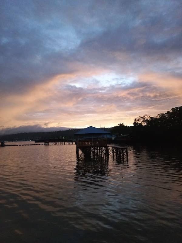 Wisata Mangrove Desa Waiheru - Image 1