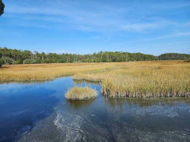 Meggett County Park - Image 2