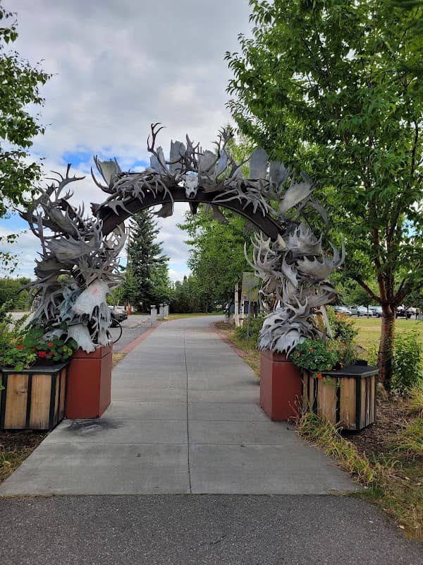 Moose Antler Arch - Image 1