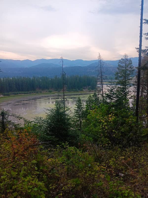 Lower Wolf Trail #305 - Image 2