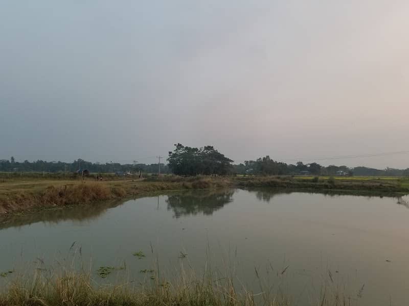 ৫ তালগাছ বিপ্রতাশুল্যা, নয়নশ্রী, নবাবগঞ্জ, ঢাকা - Image 1