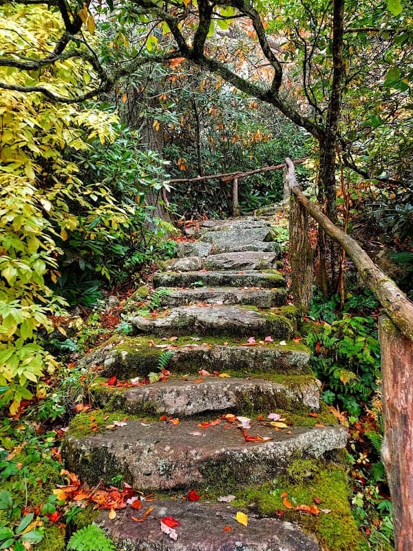 Rhododendren Park - Image 1