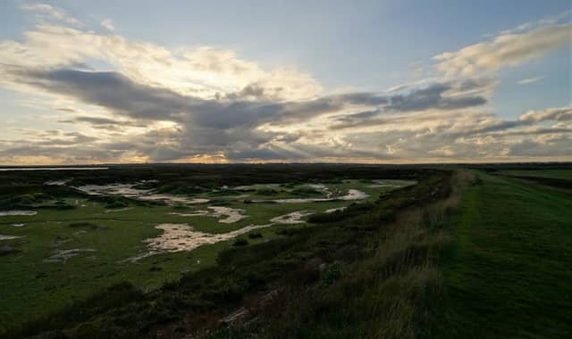 Copt Hall Marsh - Image 1