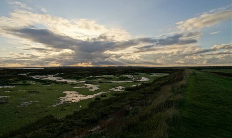 Copt Hall Marsh - Image 1
