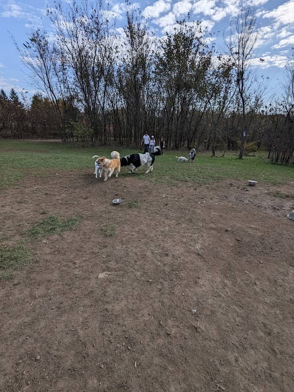 Rockland Dog Park - Image 1